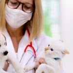 Vet holding a puppy and a cat