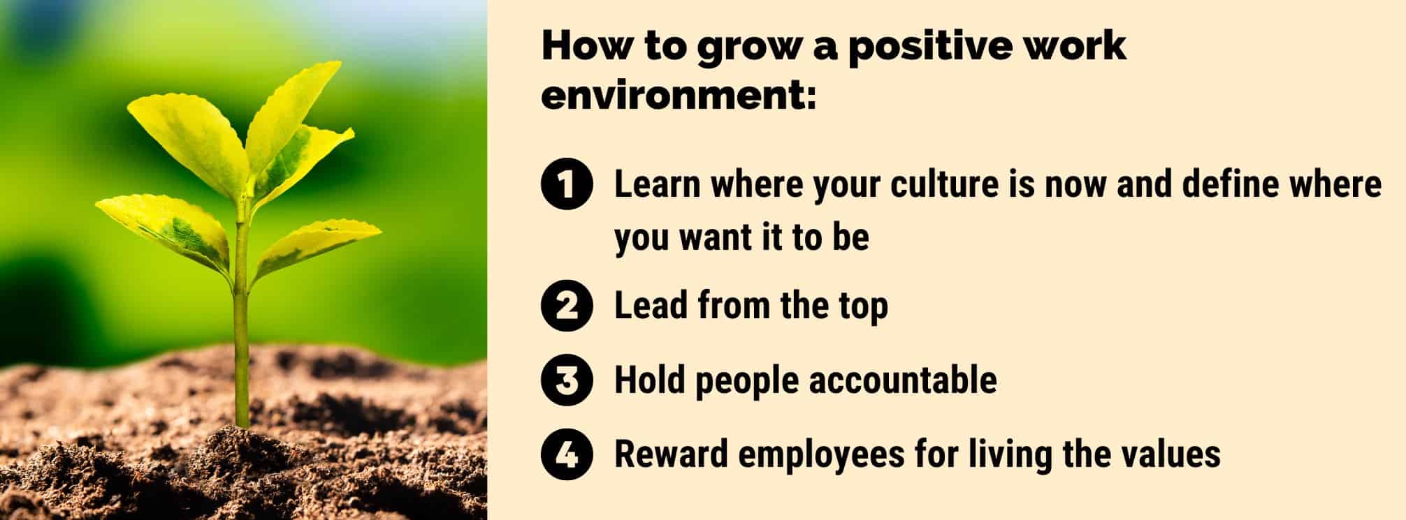 graphic with a seedling growing with the text "how to grow a positive work environment" with 4 tips listed