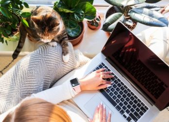 remote worker using her computer by a window with her cat beside her