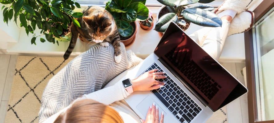 remote worker using her computer by a window with her cat beside her