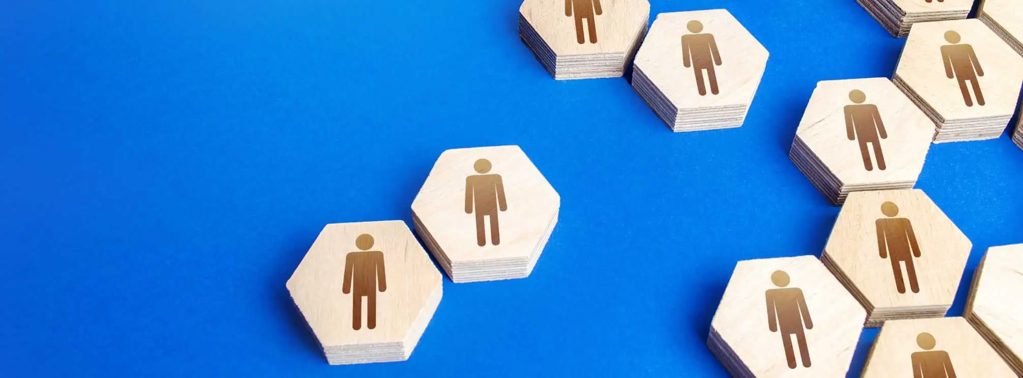 blue background with wooden blocks with icons of people on them all interconnected